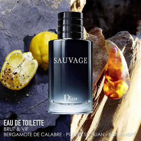 dior sauvage edt sephora